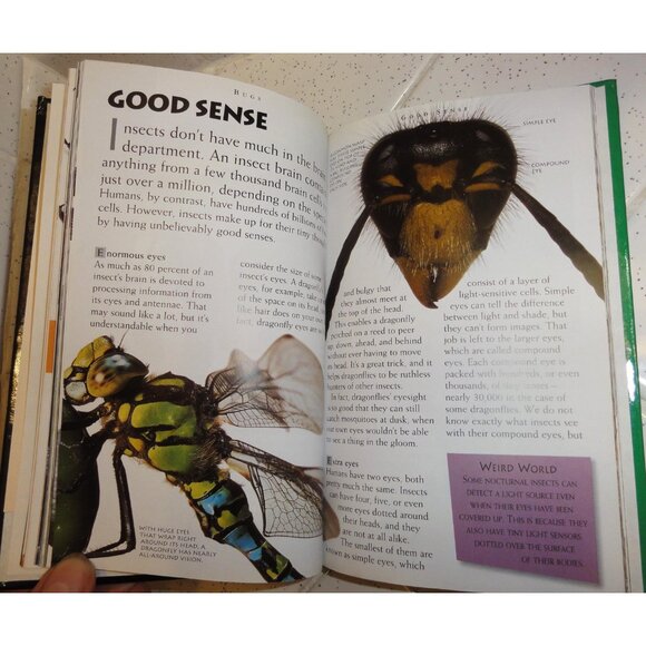 Vintage Secret Worlds Bugs A Close Up View of the Insect World Hardcover Book - Picture 4 of 16